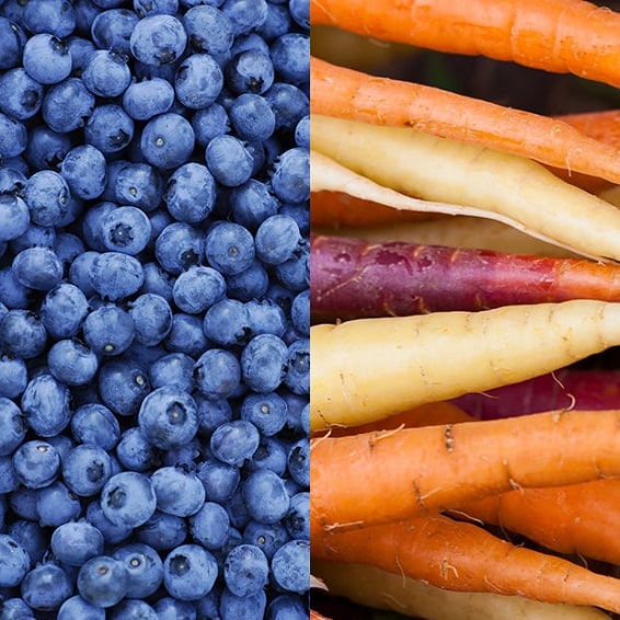 Blueberries and Carrots